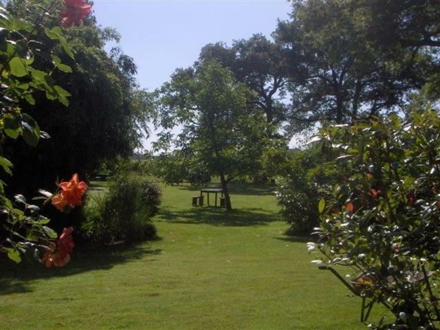 Hourcazet Bed & Breakfast Eauze Exterior photo